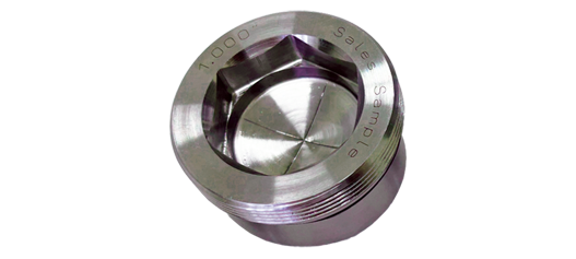 Rupture Disk